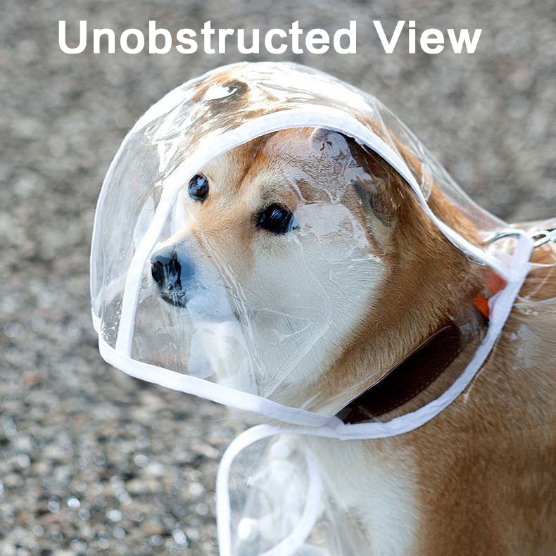 Transparent Pet Raincoat