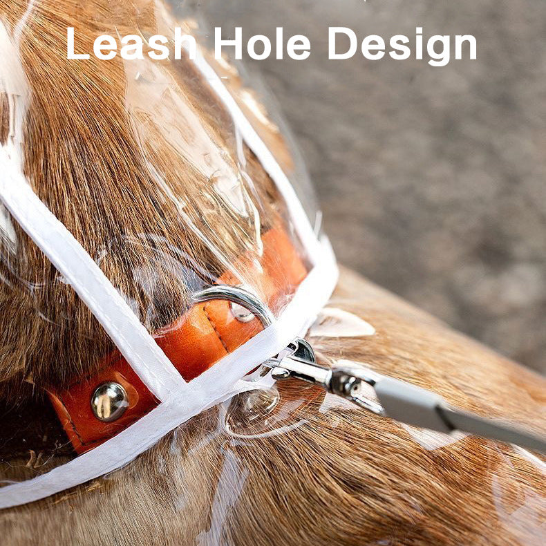 Transparent Pet Raincoat