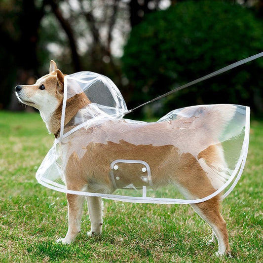 Transparent Pet Raincoat